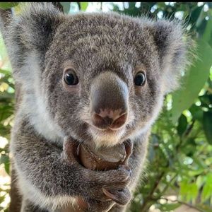 Meet your Posher, Lena